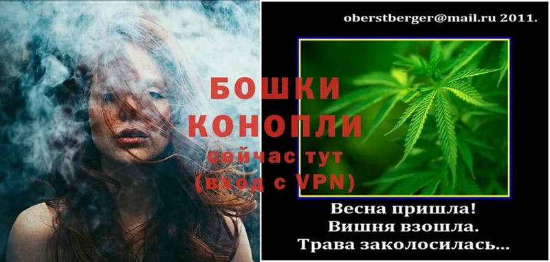 Конопля White Widow  Жердевка 